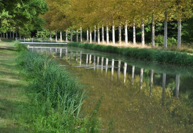 Canal en Sologne
